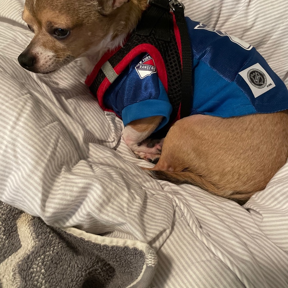 Meet your Posher, Ken